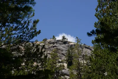 DSC_3682 (Large).JPG